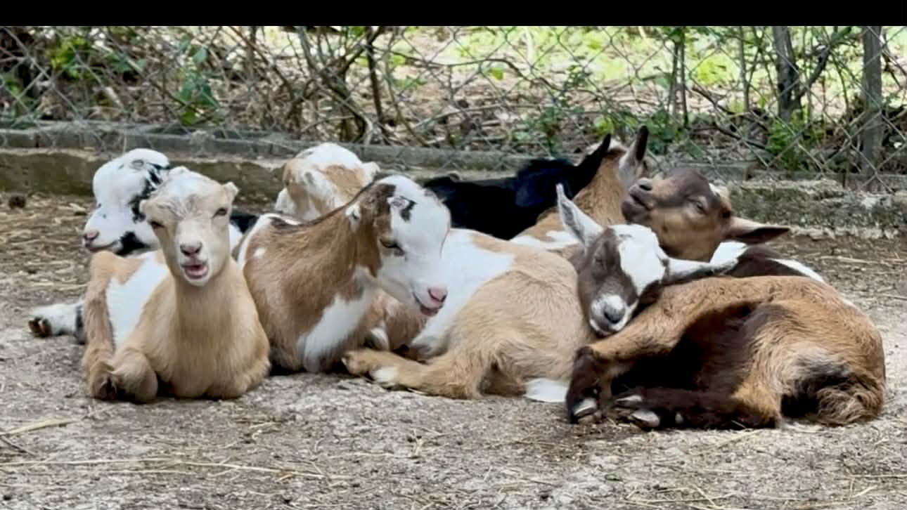 Fire Court 2026 — the whole crew out in the yard